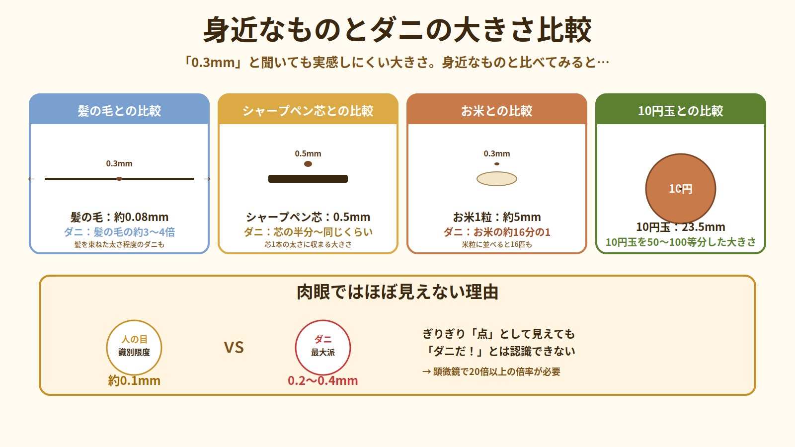 身近なもの（髪の毛・シャープペン芯・お米・10円玉）とダニの大きさを比較した図解。肉眼ではほぼ見えない理由も解説
