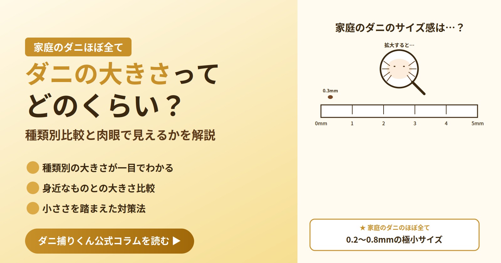ダニの大きさってどのくらい？種類別比較と肉眼で見えるかを解説するアイキャッチ画像。家庭のダニのほぼ全ては0.2〜0.8mmの極小サイズ
