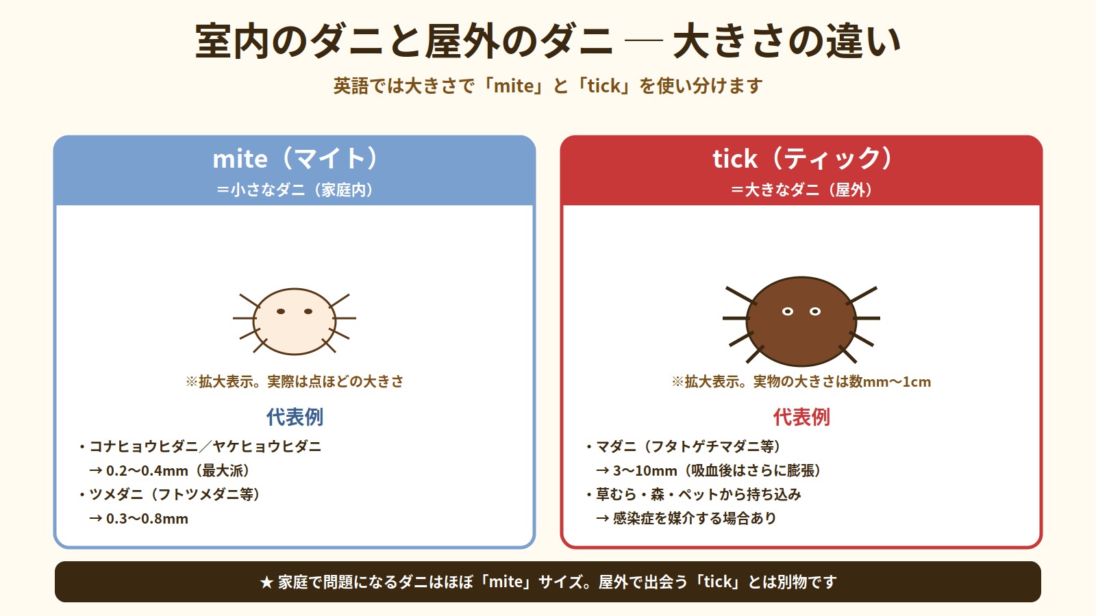 室内のダニ（mite）と屋外のダニ（tick）の大きさの違いを比較した図解。家庭内の0.2〜0.8mmと屋外の3〜10mmのマダニ