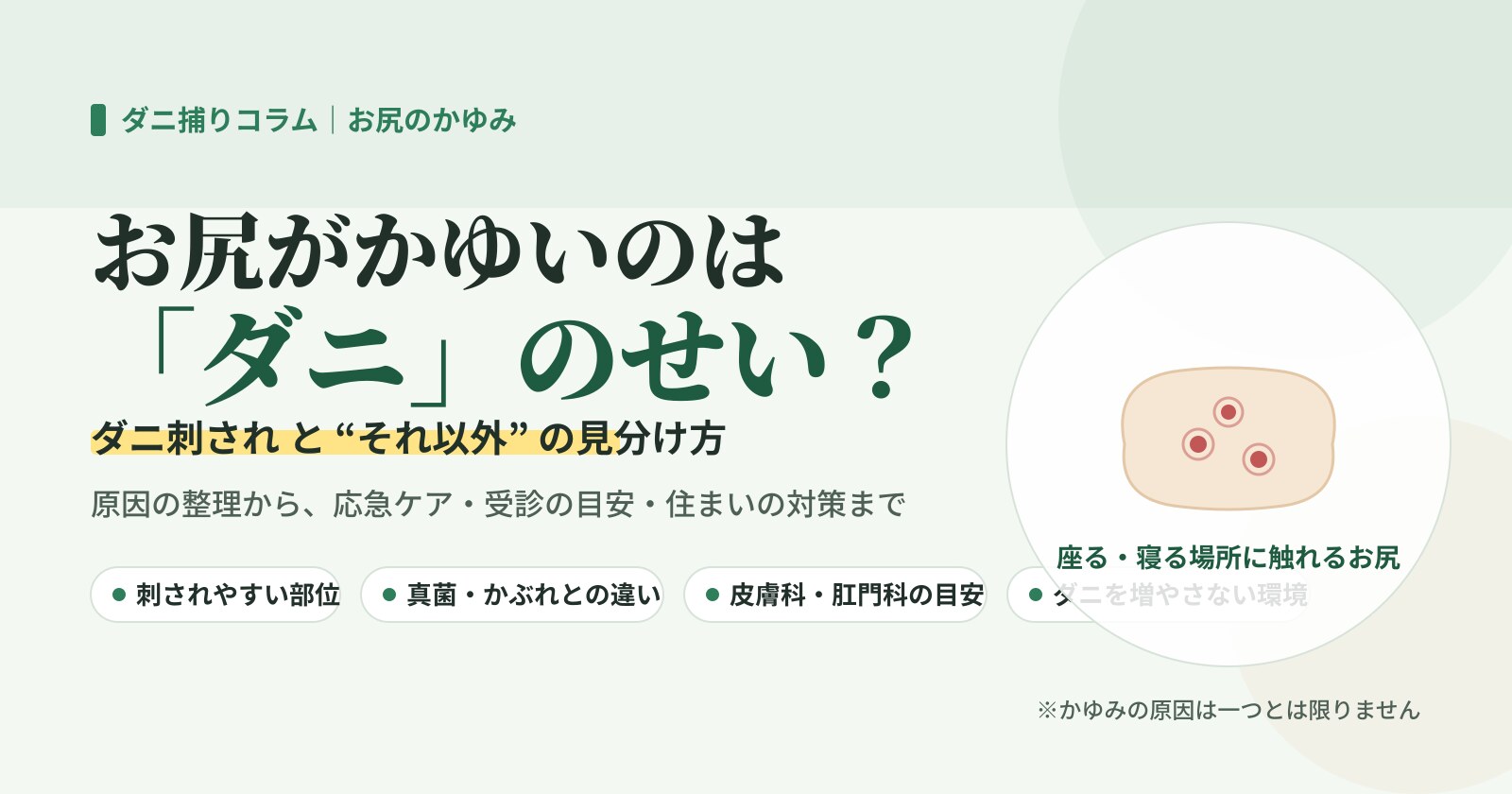 お尻がかゆいのはダニ?ダニ刺されとそれ以外の見分け方・対策をまとめたイラスト