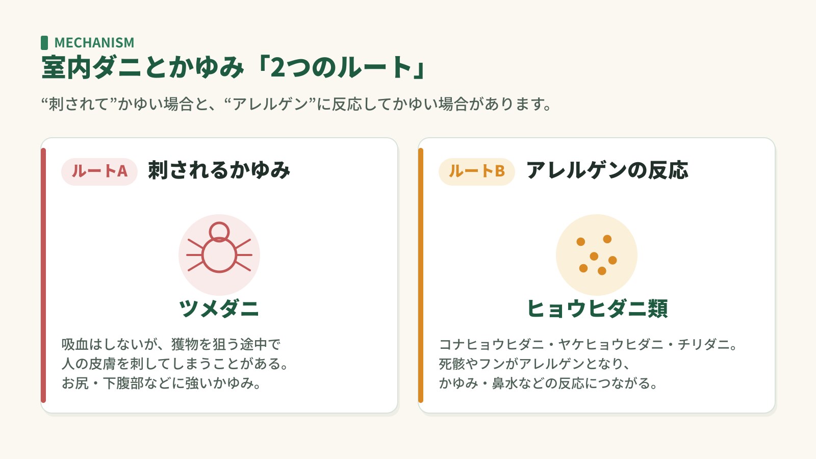 室内ダニとかゆみの2つのルート。刺されるルート(ツメダニ)とアレルゲンのルート(ヒョウヒダニ類)