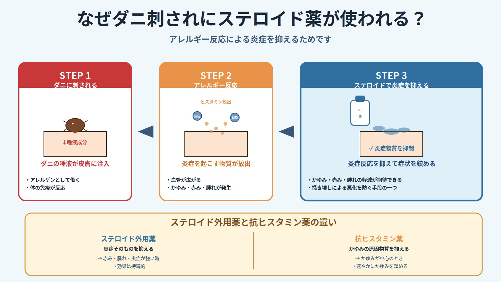 ダニ刺されにステロイド薬が使われる理由を3ステップで解説した図解。アレルギー反応の仕組みとステロイドの働きを可視化