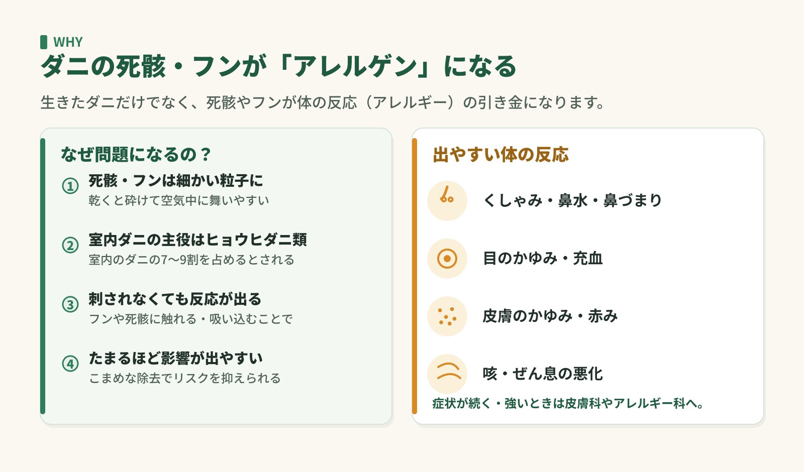 ダニの死骸・フンがアレルゲンになる理由と、くしゃみ・目や皮膚のかゆみ・咳などの反応をまとめた図