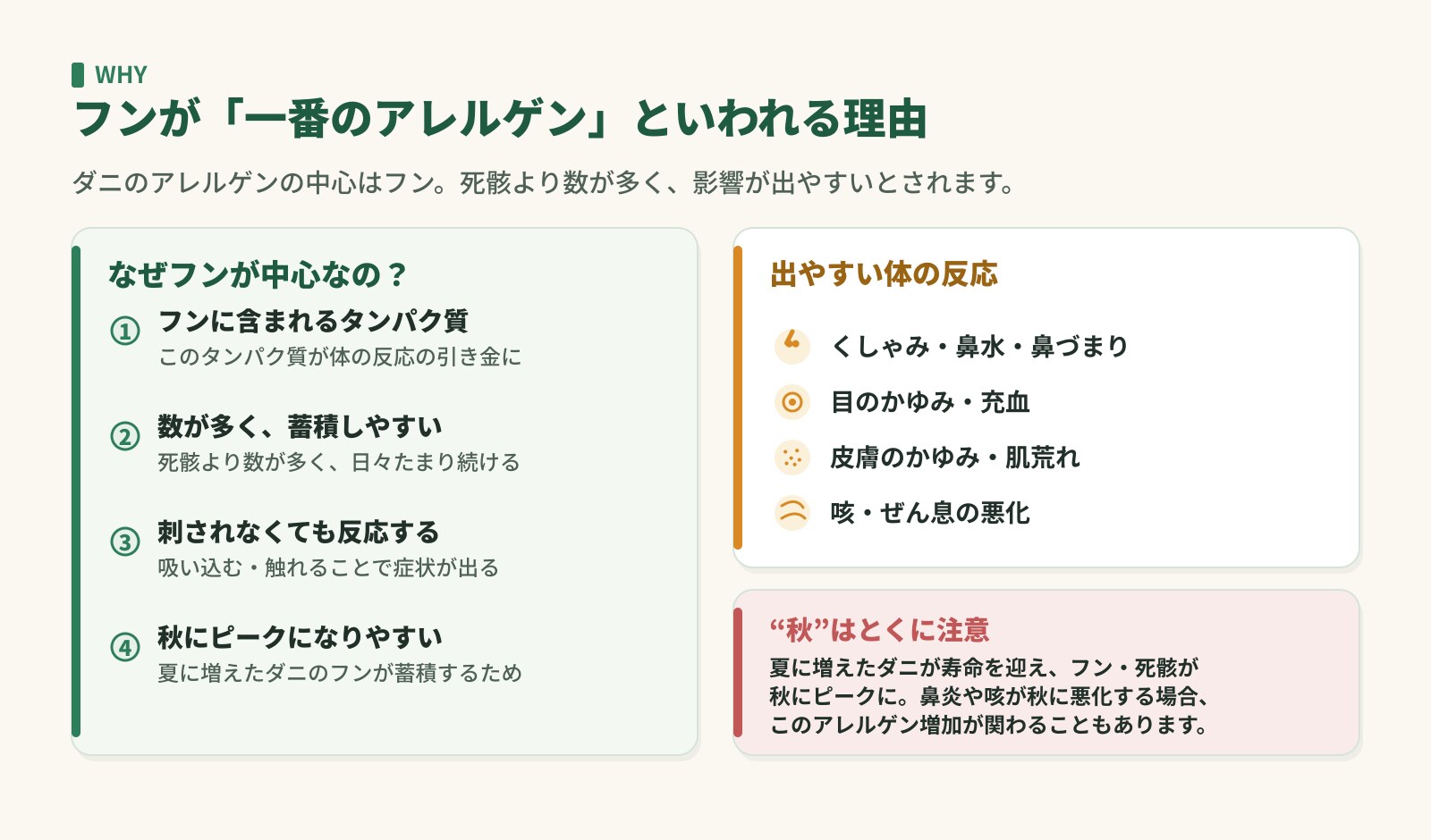 ダニのフンがアレルゲンの中心といわれる理由と、鼻炎・目や皮膚のかゆみ・咳などの症状、秋のピーク