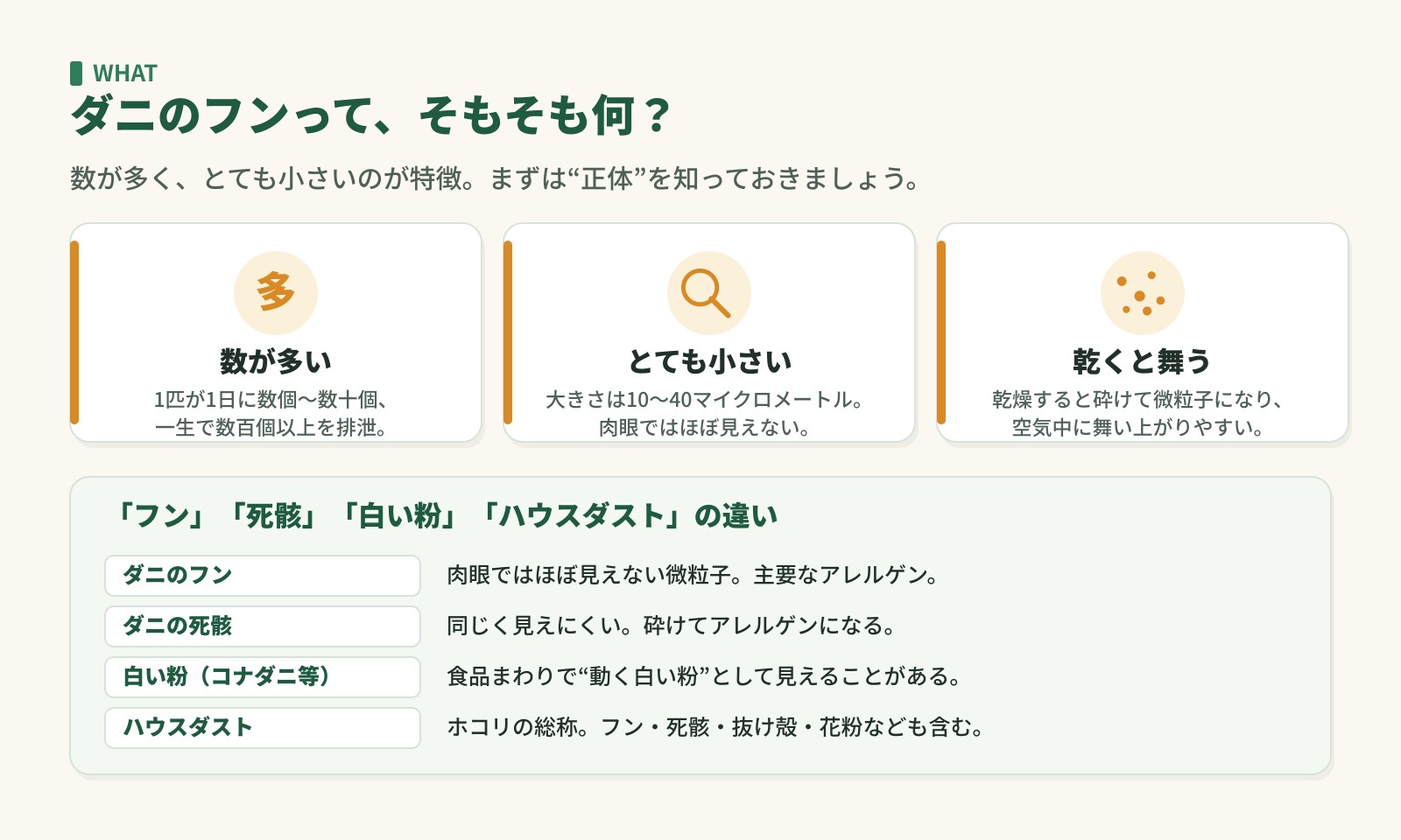 ダニのフンの正体。数が多い・とても小さい・乾くと舞う。フン/死骸/白い粉/ハウスダストの違いの表