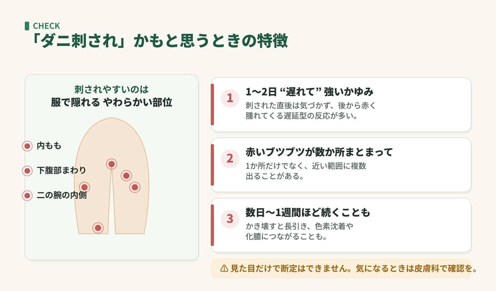 ダニ刺されの特徴。内もも・下腹部など柔らかい部位に、1〜2日遅れて赤いブツブツが数か所まとまって出る