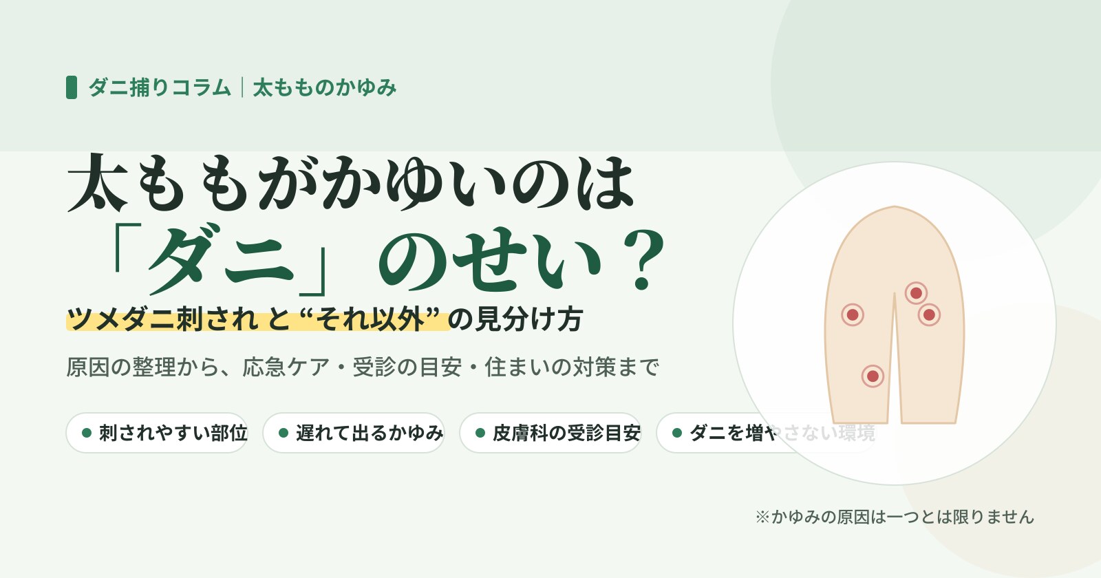 太ももがかゆいのはダニ?ツメダニ刺されとそれ以外の見分け方・対策をまとめたイラスト