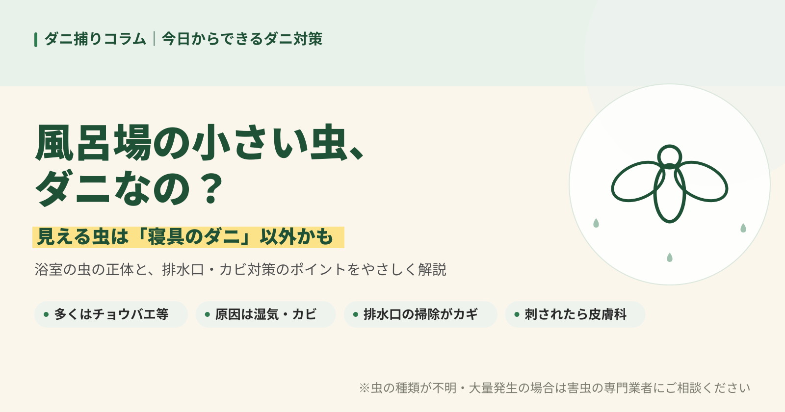 風呂場の小さい虫はダニなのか、正体と排水口・カビ対策のポイントを解説する記事バナー。
