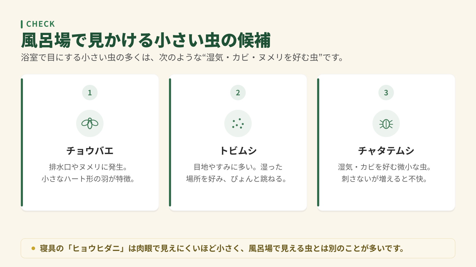 風呂場で見かける小さい虫の候補3つ。チョウバエ、トビムシ、チャタテムシ。