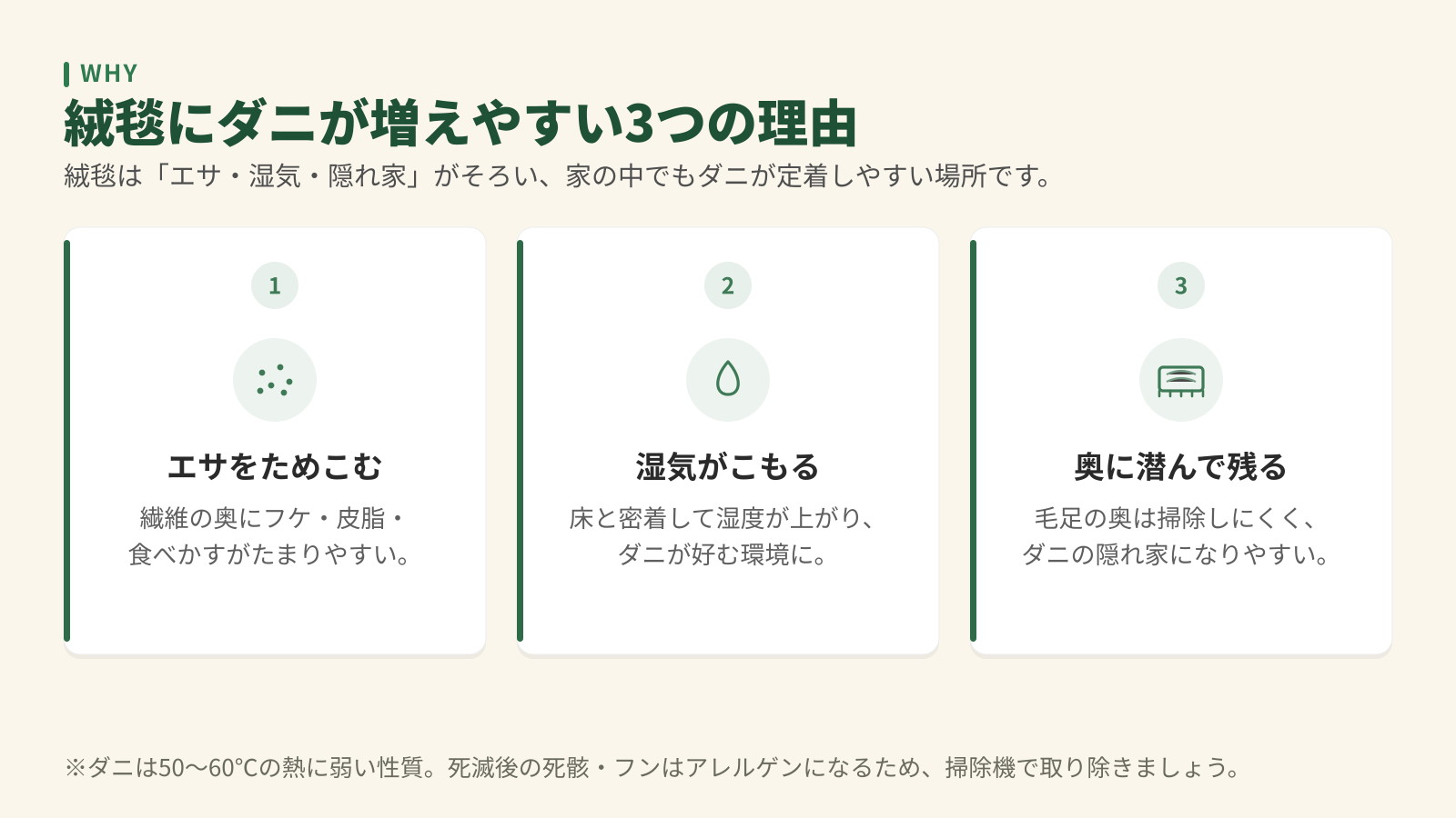 絨毯にダニが増えやすい3つの理由。エサをためこむ、湿気がこもる、毛足の奥に潜む。