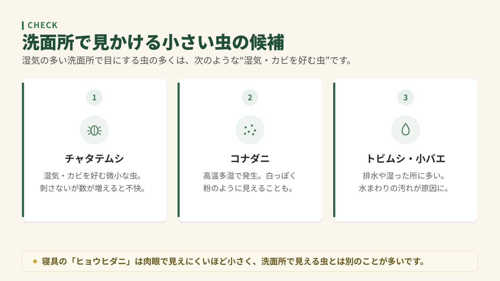 洗面所で見かける小さい虫の候補3つ。チャタテムシ、コナダニ、トビムシ・小バエ。