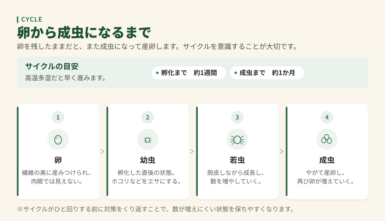 ダニが卵から成虫になるまでの4段階。卵、幼虫、若虫、成虫と進み再び産卵する流れ。