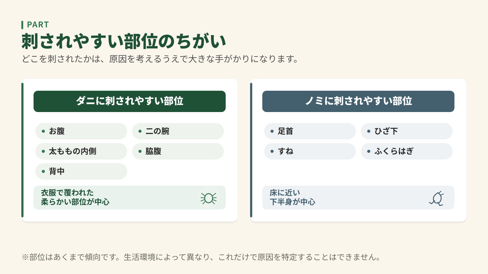 刺されやすい部位のちがい。ダニはお腹・二の腕・太ももの内側・脇腹・背中、ノミは足首・ひざ下・すね・ふくらはぎ。