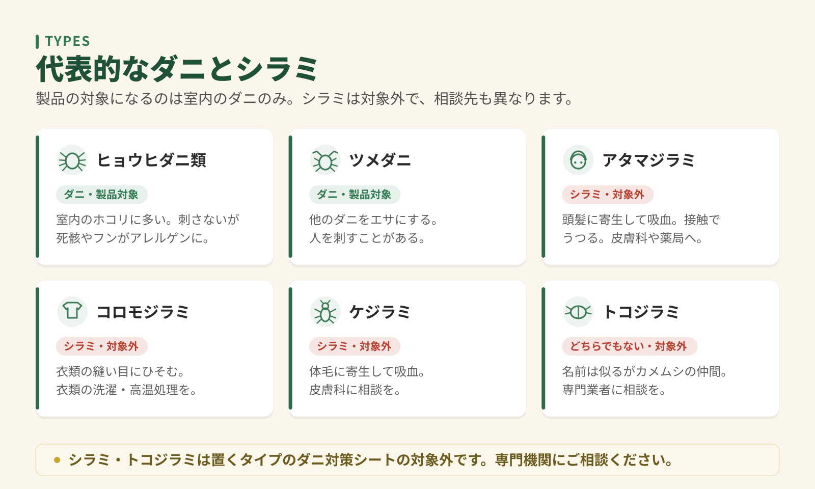 代表的なダニとシラミ6種。ヒョウヒダニ類とツメダニは製品対象、アタマジラミ・コロモジラミ・ケジラミ・トコジラミは対象外。